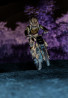Imagem 5